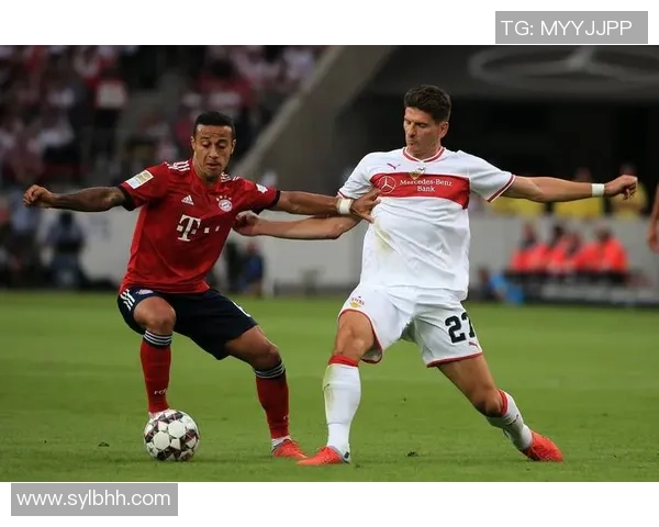 斯杯中国对阵德国精彩比分揭晓赛场瞬间回顾与分析